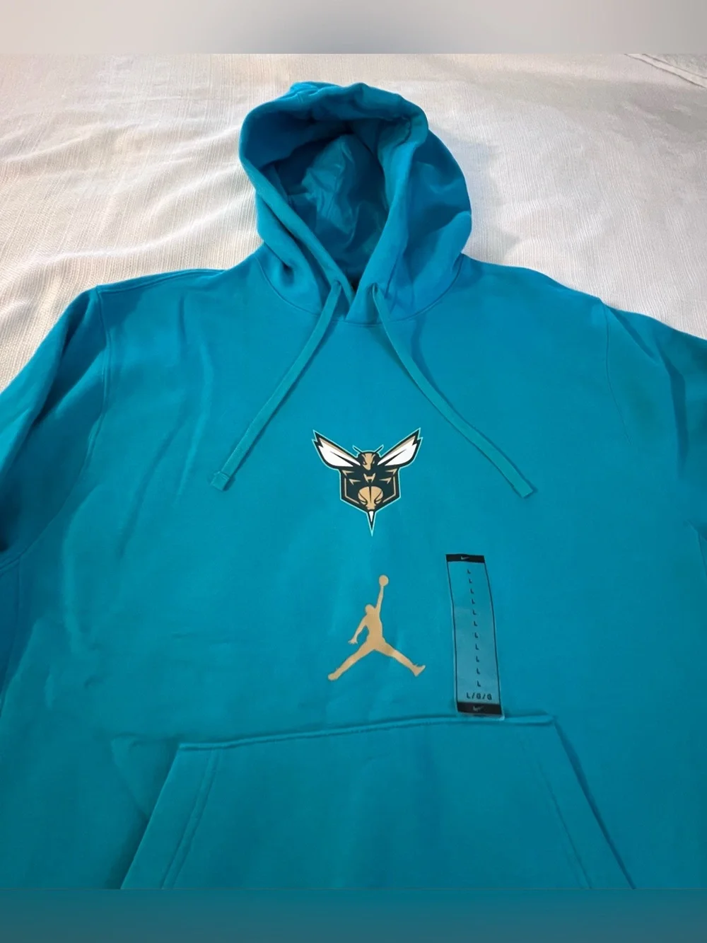 Jordan Men's 2023-24 City Edition Charlotte Hornets Club Pullover Hoodie Large
